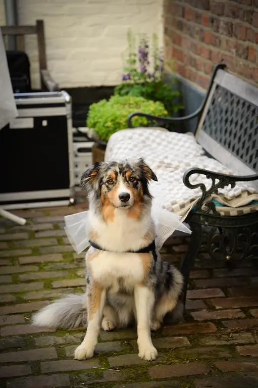 De Pingerhoeve Nuth 3*,  Nederland